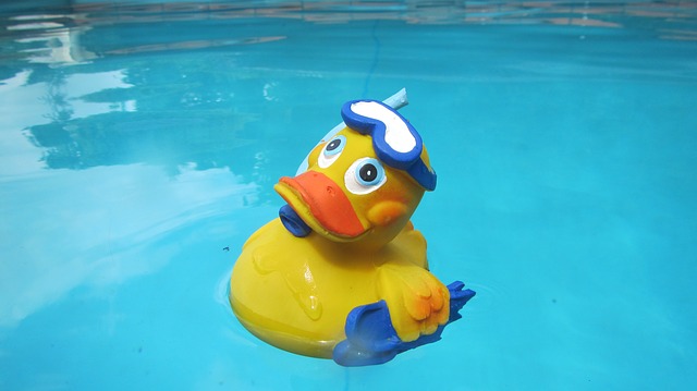 A rubber duckie wearing a facemask and snorkel floating in a swimming pool