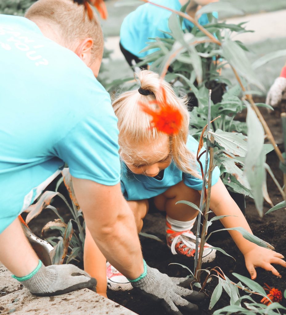 a young girl helping her father planting in the garden