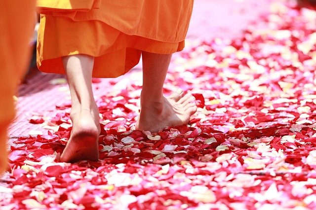 Buddhist monks walking on a trail of rose petals